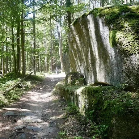 Spacious With Wellness Facilities Wunsiedel